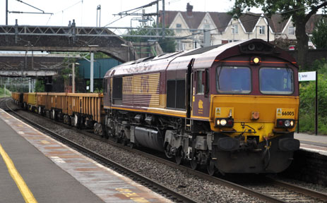 66005