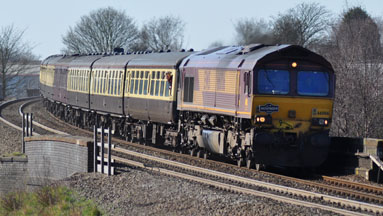66006