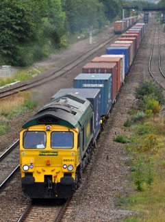 66541