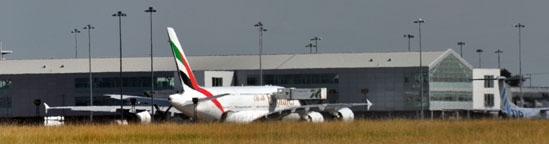 New Terminal