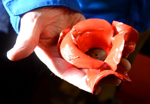 Ceramic
Poppy from Tower of London